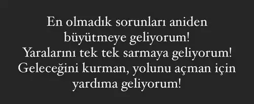 aslan 24 (6).webp