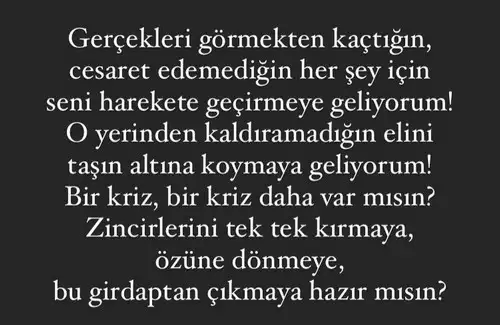 aslan 24 (7).webp