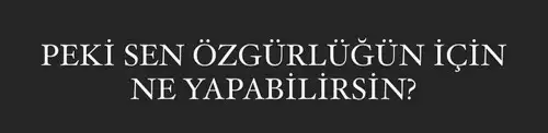 aslan 24 (8).webp