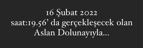 aslan 24 (9).webp