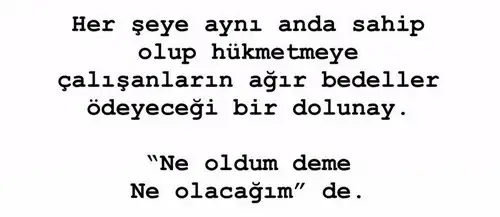 aslan 27 (1).webp