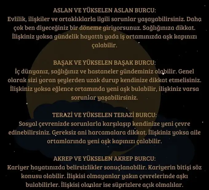 aslan 28 (3).webp