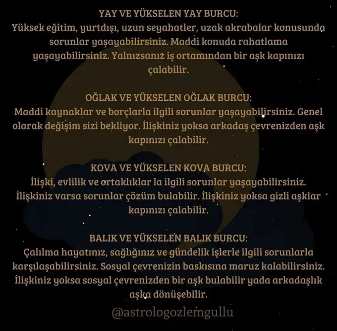 aslan 28 (4).webp