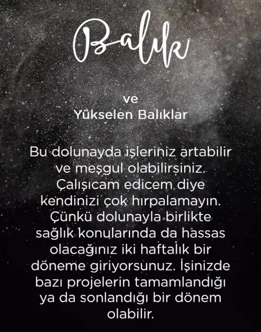 aslan 3 (13).webp