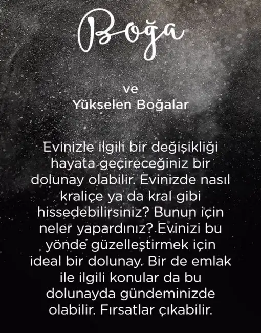 aslan 3 (3).webp