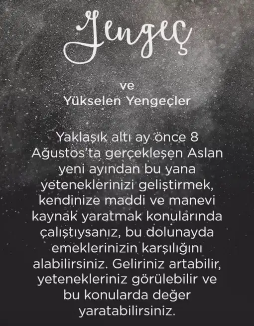 aslan 3 (5).webp