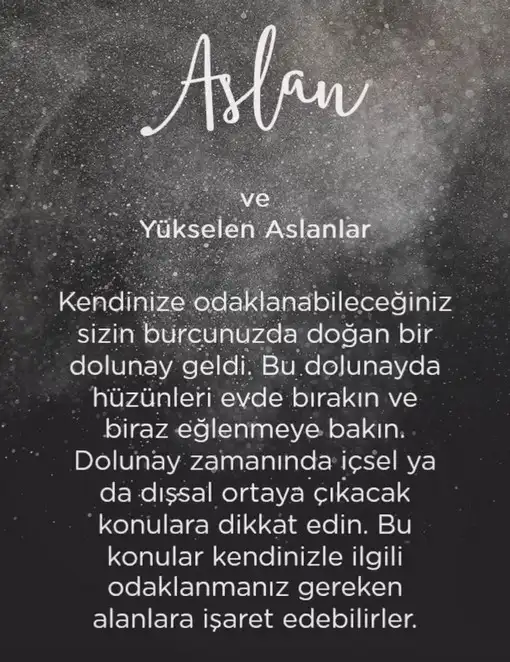 aslan 3 (6).webp