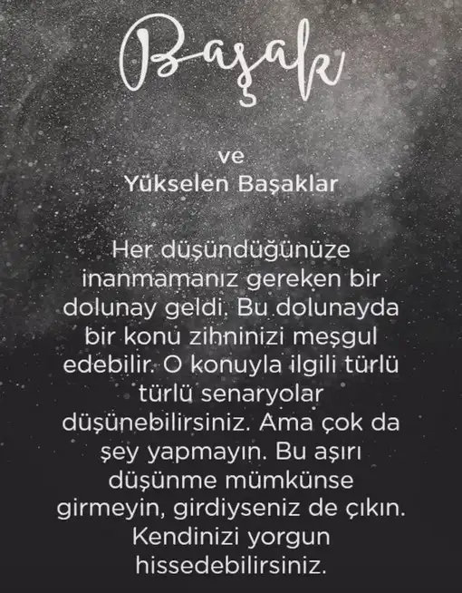 aslan 3 (7).webp