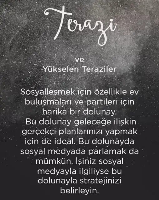 aslan 3 (8).webp