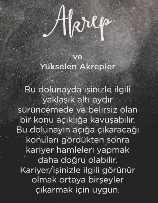 aslan 3 (9).webp