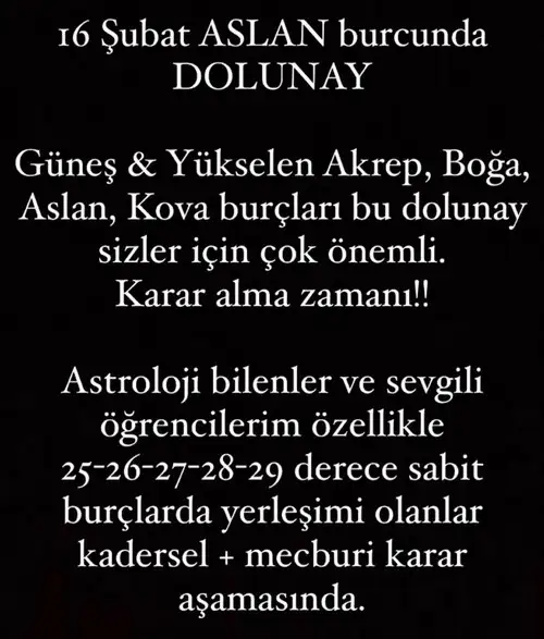 aslan 30 (1).webp