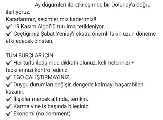 aslan 30 (2).webp