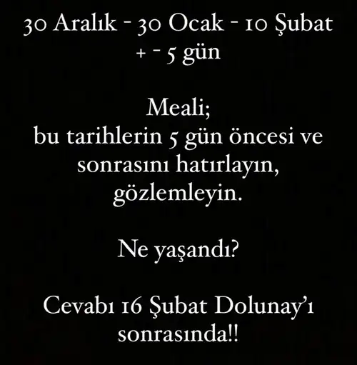 aslan 30 (3).webp