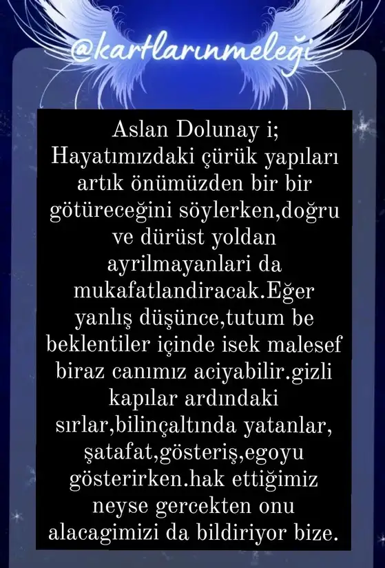 aslan 30.webp