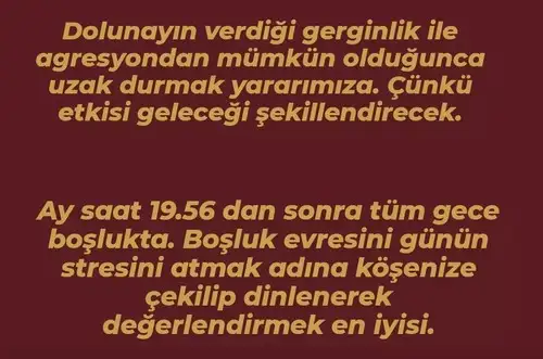 aslan 31 (2).webp