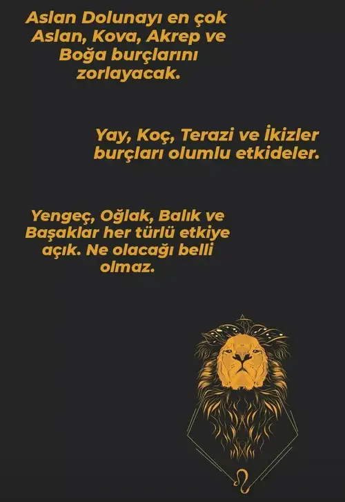 aslan 31 (3).webp