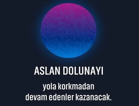 aslan 34 (1).webp