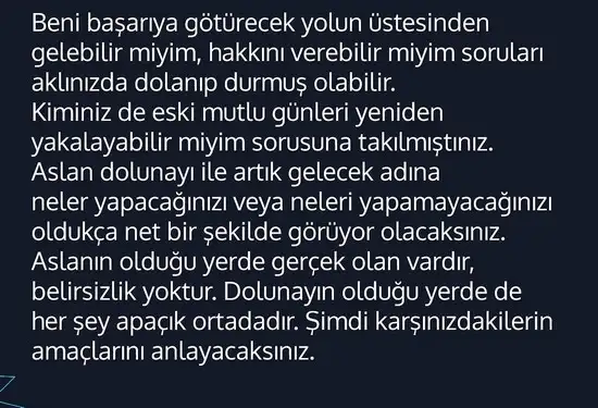 aslan 34 (3).webp