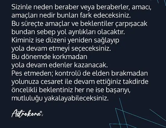 aslan 34 (4).webp