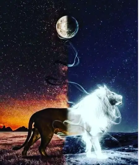 aslan (36).webp