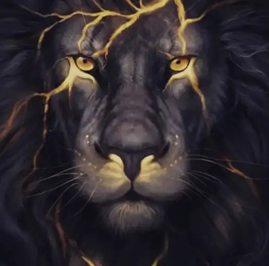 aslan (37).webp