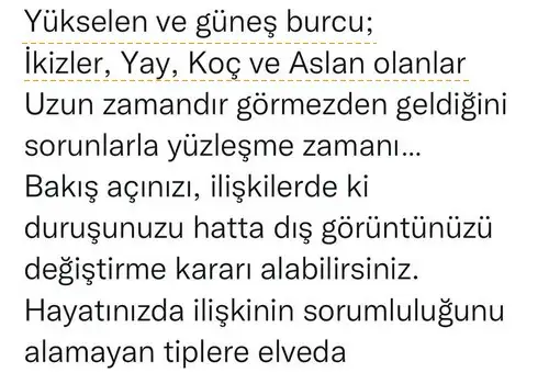 aslan 38 (3).webp