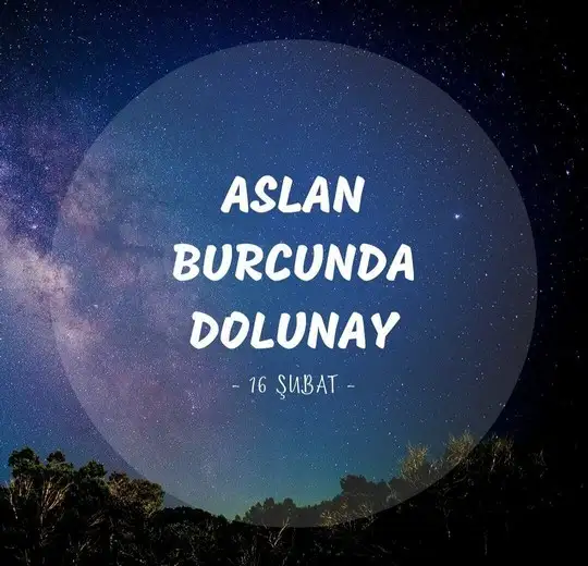 aslan 4 (1).webp