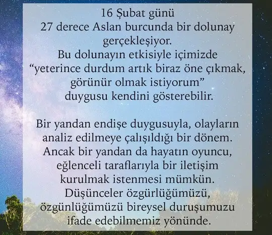 aslan 4 (2).webp