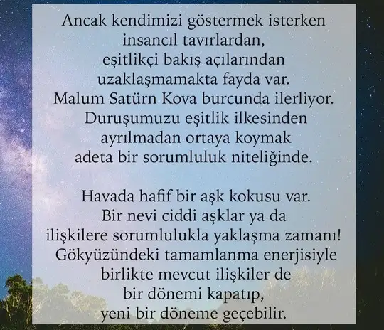aslan 4 (3).webp
