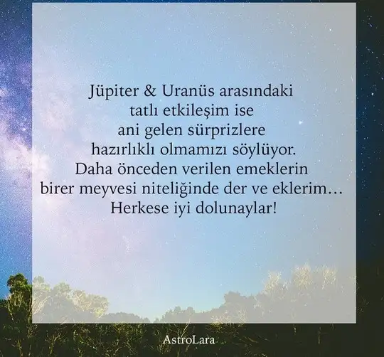 aslan 4 (4).webp