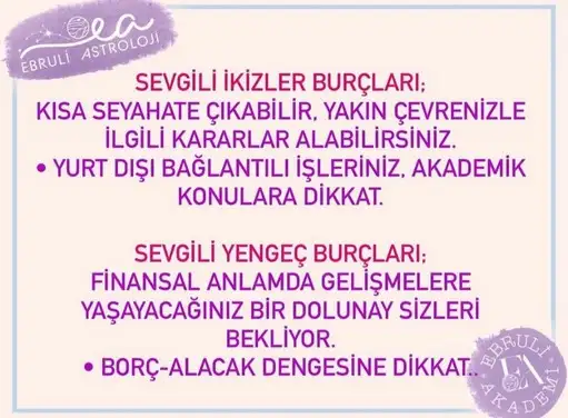 aslan 40 (2).webp