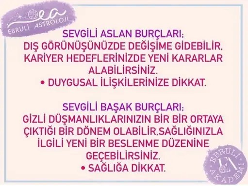 aslan 40 (3).webp