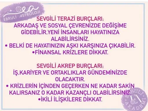 aslan 40 (4).webp