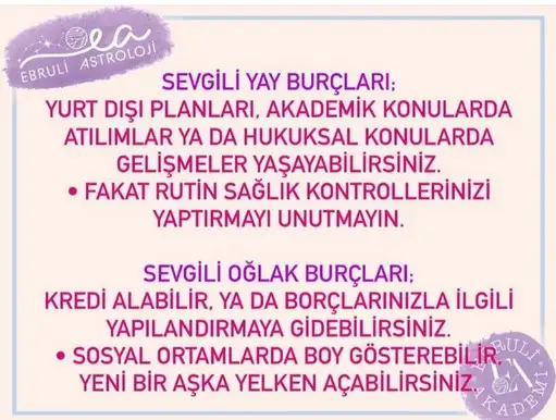 aslan 40 (5).webp