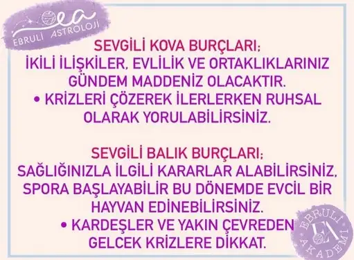 aslan 40 (6).webp
