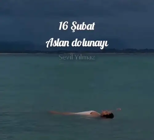 aslan 44 (1).webp