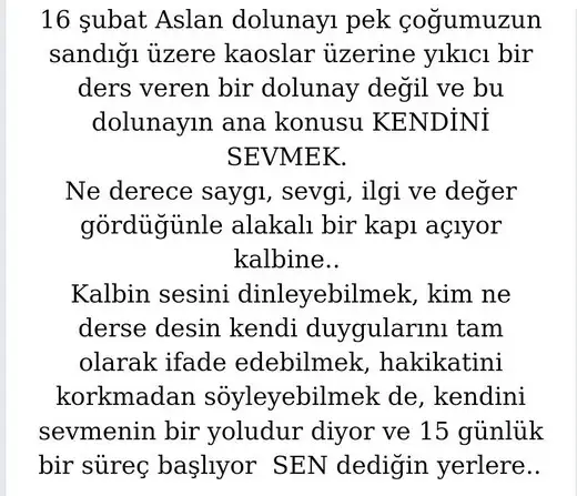aslan 44 (2).webp