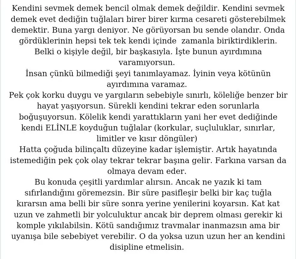 aslan 44 (7).webp