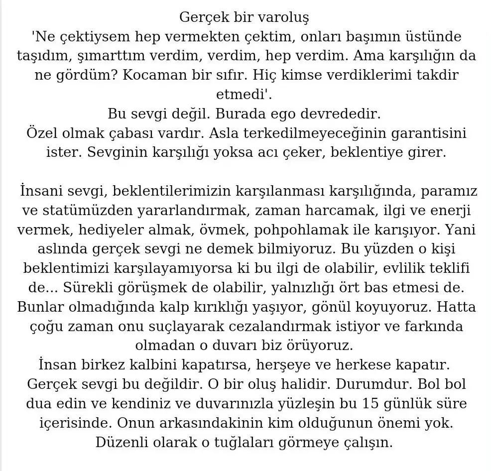 aslan 44 (8).webp