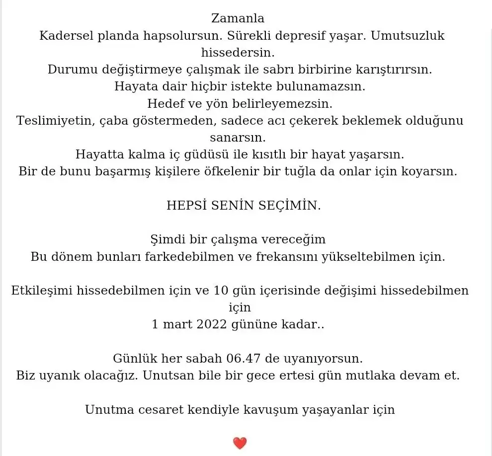 aslan 44 (9).webp