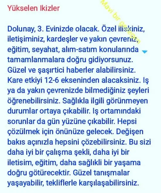 aslan 45 (10).webp
