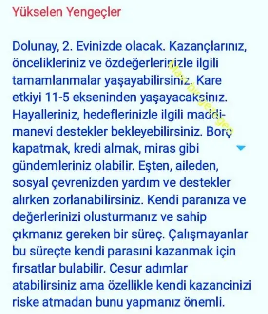 aslan 45 (11).webp