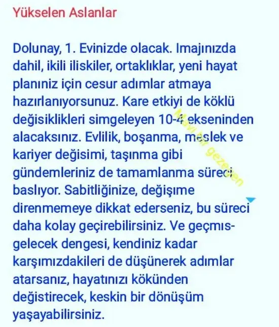 aslan 45 (12).webp