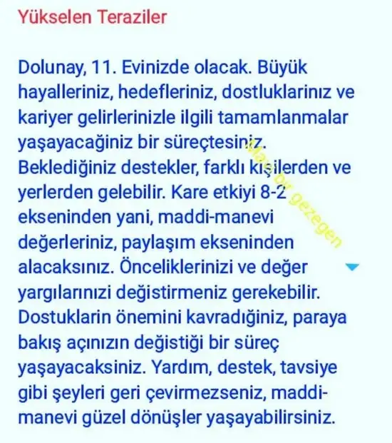 aslan 45 (14).webp