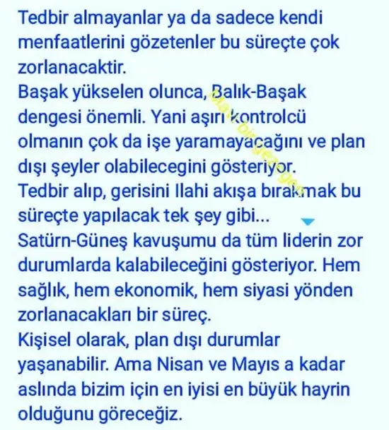 aslan 45 (5).webp