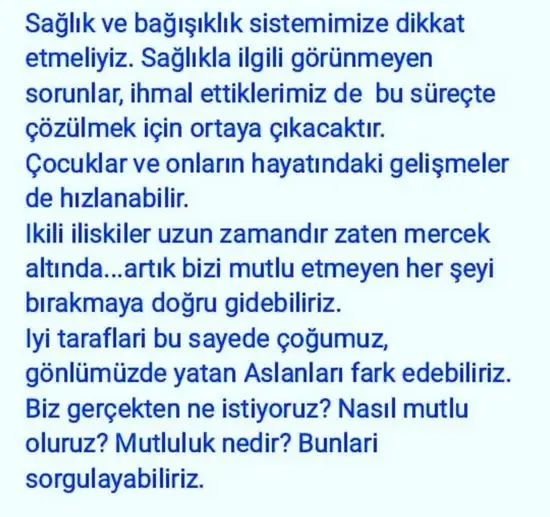 aslan 45 (6).webp