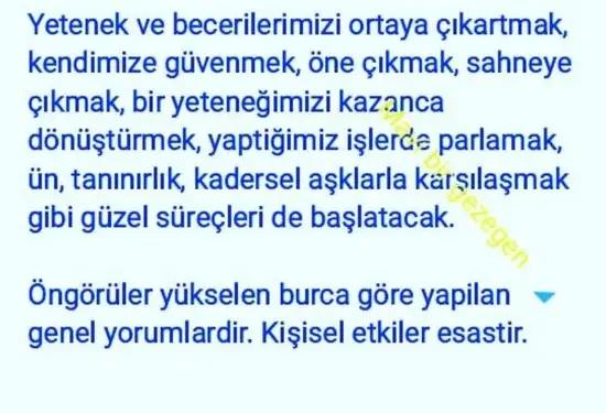 aslan 45 (7).webp