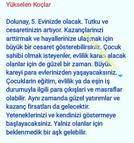 aslan 45 (8).webp