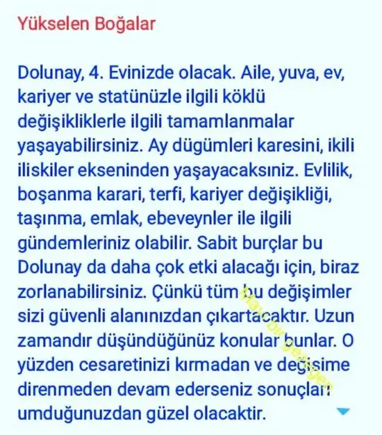 aslan 45 (9).webp