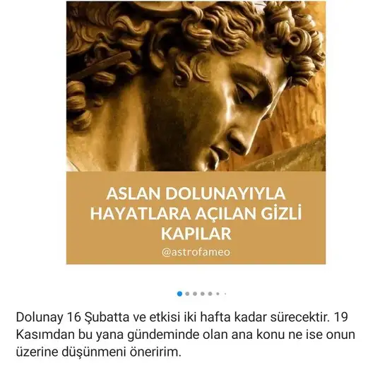 aslan 47 (1).webp